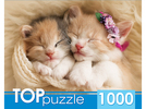 Пазлы 1000  Два спящих котенка,15*19*7 см
