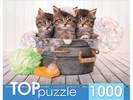 Пазлы 1000  Три голубоглазых котенка ,19,5*15*6 см